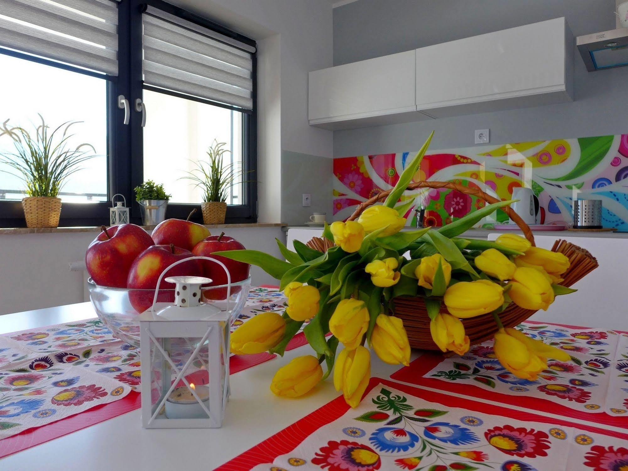Apartamenty Zloty Widok シュチルク エクステリア 写真